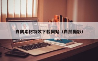 北海白鹅素材特效下载网站（白鹅摄影）